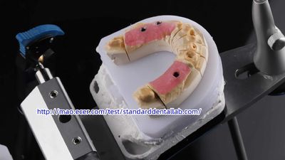 Standard Dental Lab Co., Limited manufacturer production line
