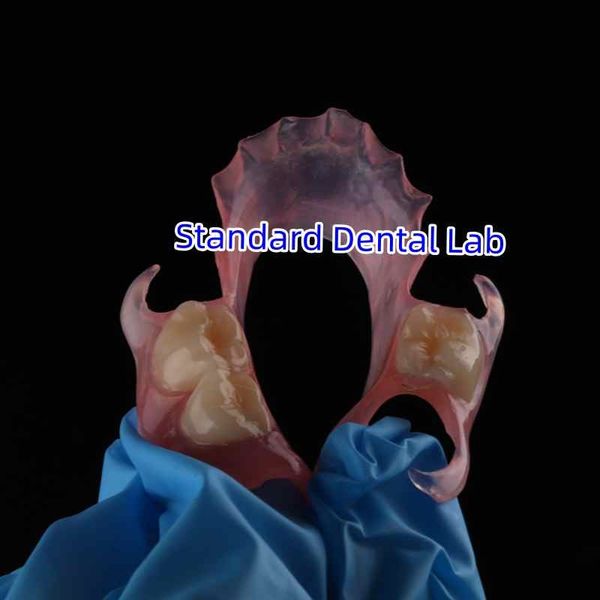Standard Dental Lab Co., Limited manufacturer production line