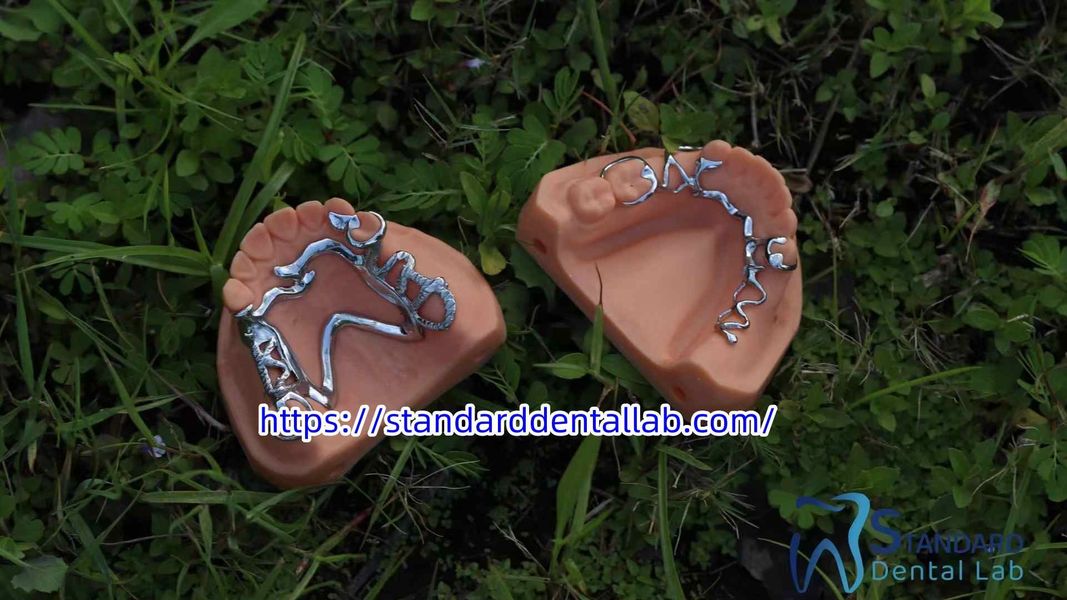 Standard Dental Lab Co., Limited manufacturer production line
