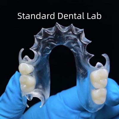 Buy Dental Clear TCS Valplast Flexible Dental Partials Standard Dental Laboratory online manufacture