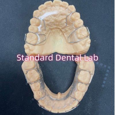 Buy Professional Orthodontic Retainer Acrylic Dental Hawley Retainer Adam Clasps online manufacture