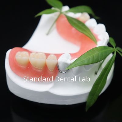 Buy High Esthetics Dentsply Lucitone 199 Acrylic Denture acrylic resin for dentures China Dental lab online manufacture