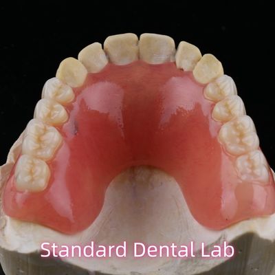 Dental Temporary Acrylic Partial Denture Ivoclar YAMAHACHI