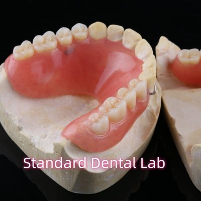 High Esthetic Acrylic Partial Denture Dental Resin Dentures With Base