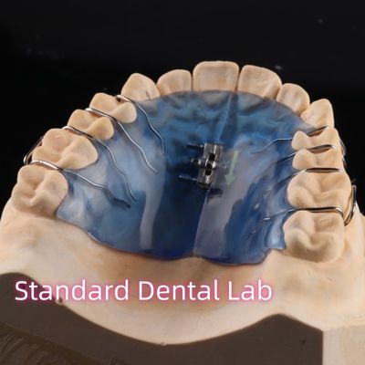 Removable Palate Expander Appliance  Orthodontics Professional For Maxillary Mandibular