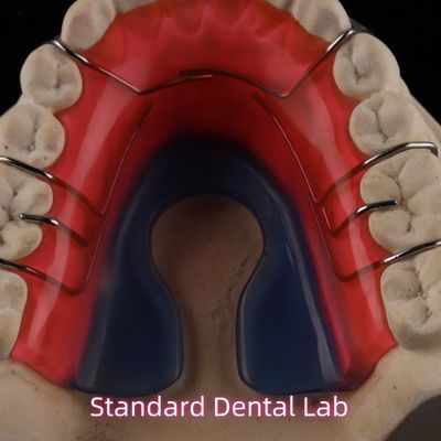 Removable Dental Orthodontic Appliance Hawley Retainer