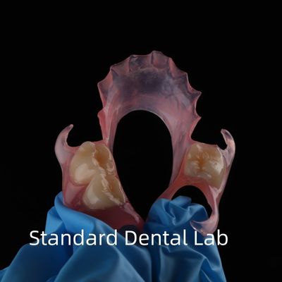 High Esthetics Dental TCS Valplast Flexible Partial Dentures Dental Lab pink shade