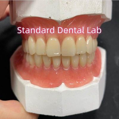 Full Upper And Lower Stayplate Acrylic Partial Dentures Ivoclar Teeth Pink Gum