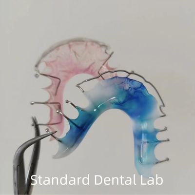 Hawley Wrap Around Orthodontic Retainer Dental Acrylic Palate