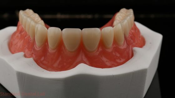 Dentsply Lucitone 199 Acrylic Denture For Full Arch Natural Look