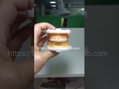 High Esthetic BruxZir Full Contour Zirconia Crowns PFZ Bridge